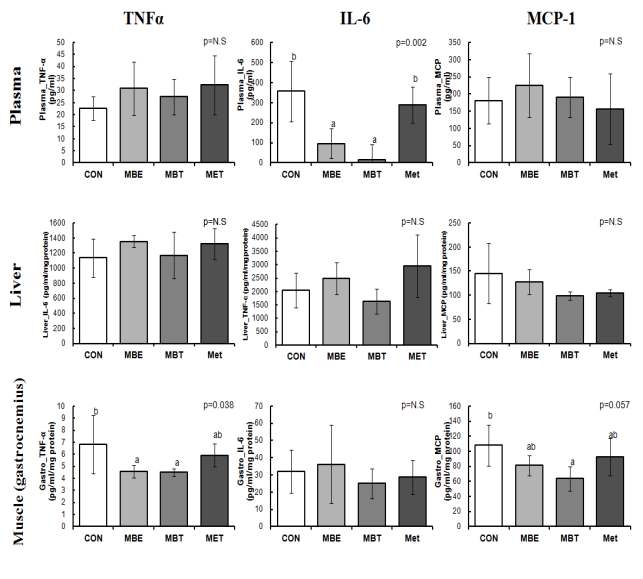 60% High fat diet 섭취와 함께 MBE, MBT를 4주간 경구투여가 KK-Aymice의 혈중 및 간, 근육 조직의 TNF-, IL-6, MCP-1 농도에 미치는 영향