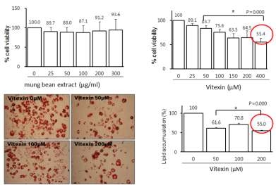 Effects of increasing levels of mungbean ethanol extracts and target materials, vitexin, on cell viability in 3T3-L1 mouse preadipocytes.