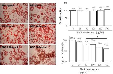 Effects of increasing levels of Blackbean ethanol extracts on cell viabilities and lipid accumulation in 3T3-L1 mouse preadipocytes.