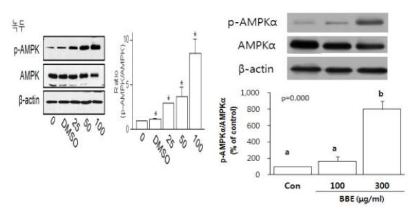 Effects of increasing levels of M ungbean and Black bean ethanol extracts on the AM PK phosphorylation in 3T3-L1 mouse preadipocytes.