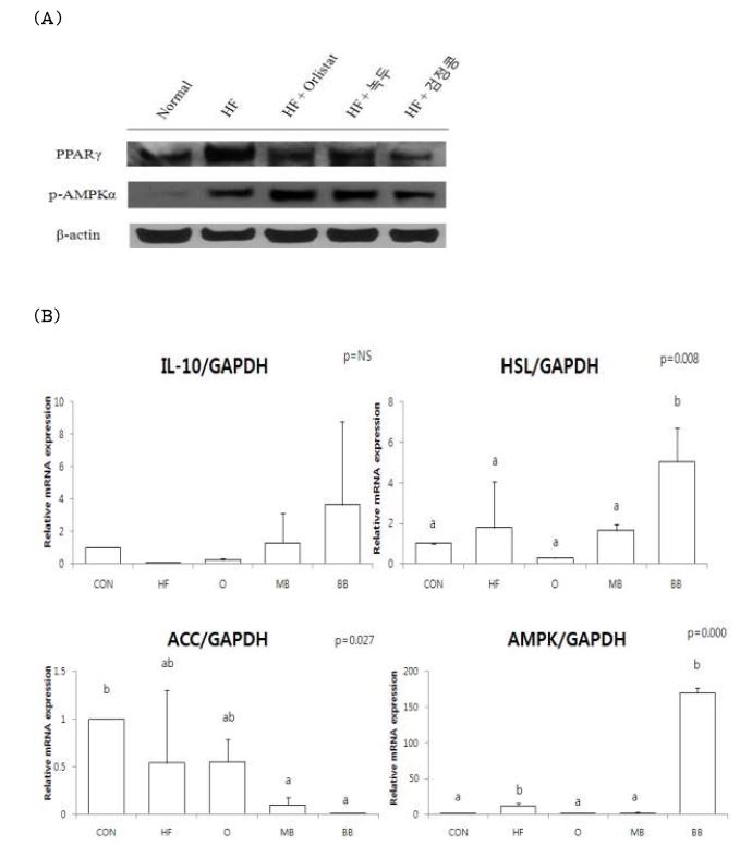 녹두와 검정콩 추출물이 45% H igh fat diet-DIO C57BL /6 mice 간에서의 지방합성 관련마커에 미치는 효과