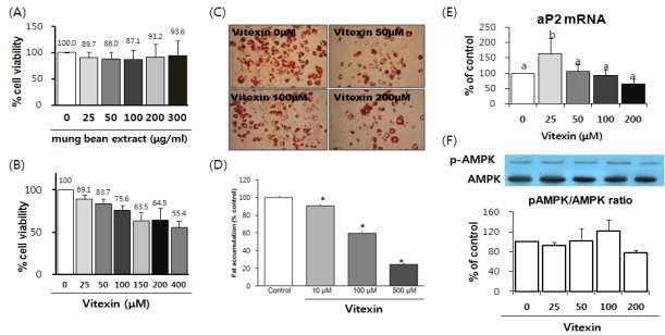 Cell viability, lipid accumulation, aP2 mRNA expression and p-AMPK/AMPK ratio on 3T 3-L1 adipocytes treated with mung bean extract and vitexin