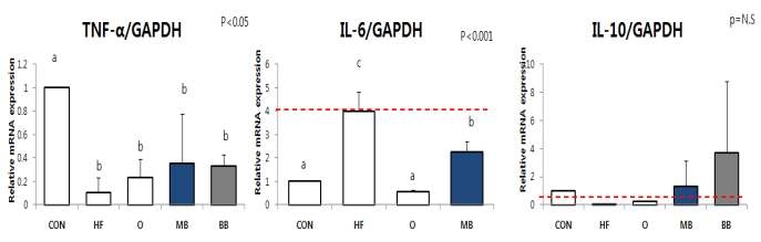 Inflammation-related mRNA expression on epididymal fat of DIO-C57BL/6 mice treated with mung bean extracts