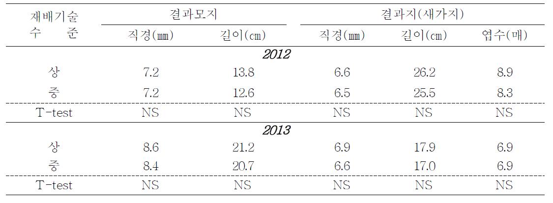 재배기술 수준별 결과모지 및 결과지 생육