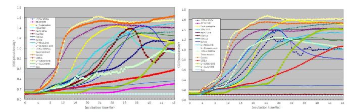 Estimation of growth of Bacillus amyloliquefaciens CC110 in the media adding with several nitrogen source (0.5%, 1.0% ) in Bioscreen C for 48 hr at 30℃.