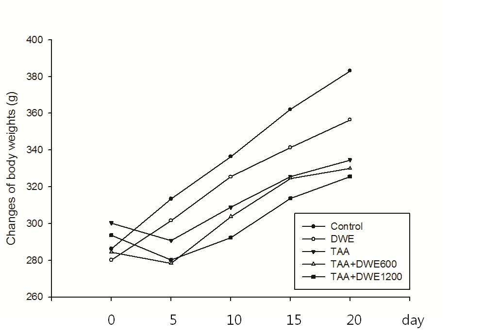 민들레 추출물 장기급여치료효과 실험기간동안 각 군의평균 체중의 변화