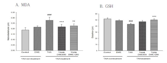 민들레 추출물 장기급여 예방효과 실험 각 군의 Malondialdehyde (MDA) 및 환원형 글루타치온 (GSH) 농도