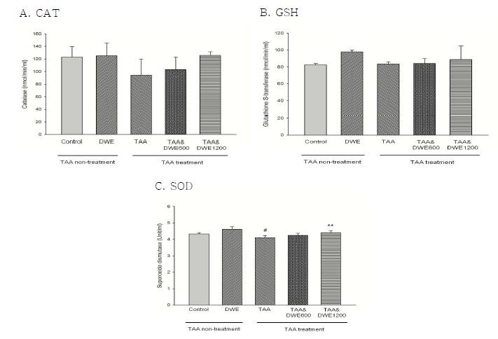 민들레 추출물 장기급여 치료효과 실험 각 군의 Catalase (CAT), Glutathion S-transferase (GST) 및 superoxide dismutase (SOD) 활성