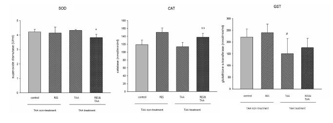 레스베라트롤 장기급여 예방 효과 실험군의 superoxide dismutase (SOD), catalase (CAT) 및 glutathione S-transferase (GST) 활성