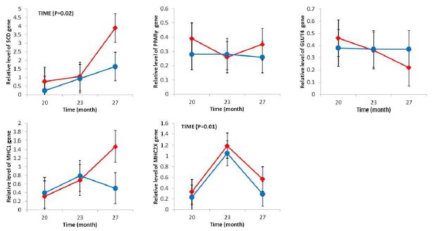 The interaction between age and treatments on adipogenic and myogenic gene expression of Hanwoo steers