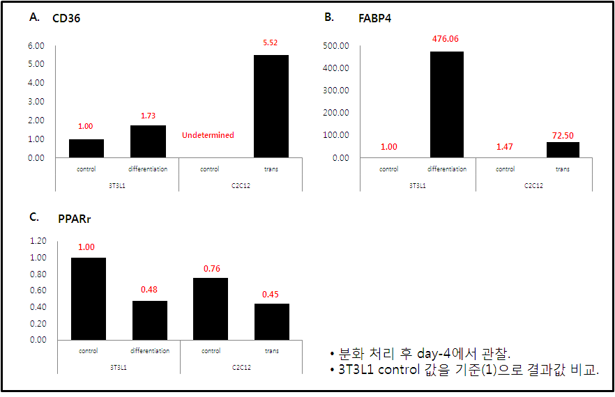 지방 분화에 따른 지방 분화 관련 유전자 발현 관찰