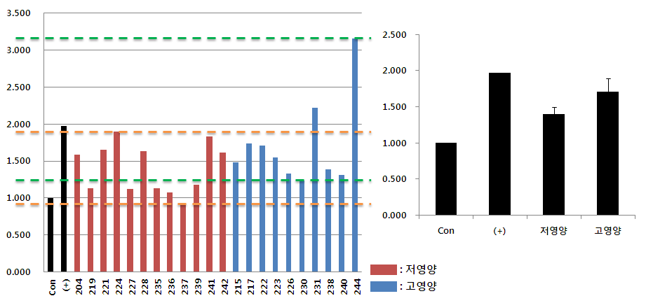 개별 혈청을 이용한 C2C12에서의 지방축적량 확인