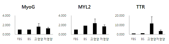 혈청 영양 차이에 따른 세포의 근육 분화 유전자 발현 관찰