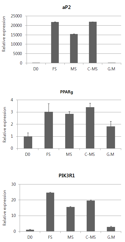 성별 특이적 소 혈청을 첨가한 배지에서 근육모세포의 지방분화 유도시 지방분화 관련 유전자의 발현 조사
