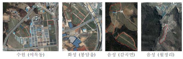 복숭아 심식나방류 교미교란제 처리 지역(빨간색 테두리)