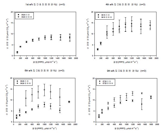 ‘장호원황도’와 ‘진미’의 광도변화에 따른 시기별 광합성율 변화