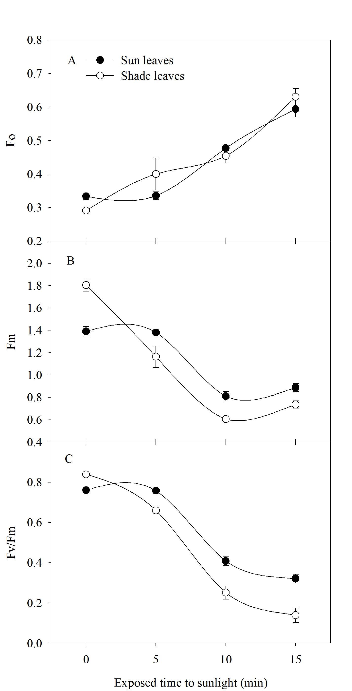 ‘장호원황도’ 복숭아나무에 떼어 낸 양엽과 음엽을 강광(1,000μmol m-2 s-1)에 직접 노출되었을 때의 각각의 최소 형광값(Fo)(A), 최대 형광값(Fm)(B), 잠재 양자수율 (Fv/Fm)(C)의 변화.