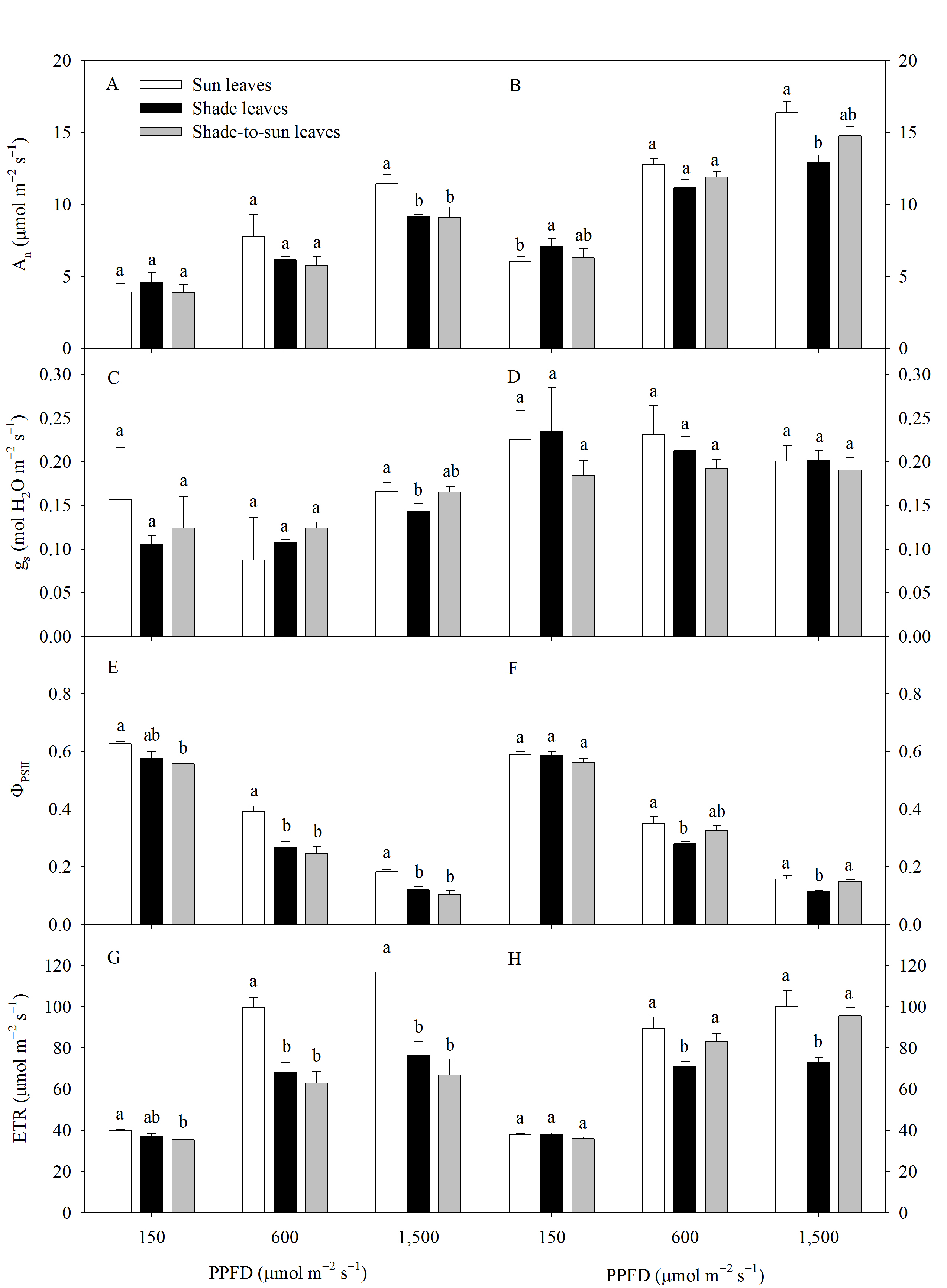 ‘장호원황도’ 복숭아나무의 하계 전정 1주(A, C, E, G)와 4주(B, D, F, G) 후에 150, 600, 1,500μmol m-2 s-1 PPFD의 광세기에서 측정한 양엽, 음엽, 음양엽의 순 이산화탄소 동화율(A n)(A, B), 기공 전도도(g s)(C, D), 실제 양자수율(ΦPSII)(E, F), 전자 전달률 (ETR)(G, H)(n = 4).