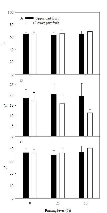 ‘장호원황도’ 복숭아나무의 수확 3주 전의 하계 전정 수준에 따른 과피색의 L(A), a*(B), b*(C) 값.
