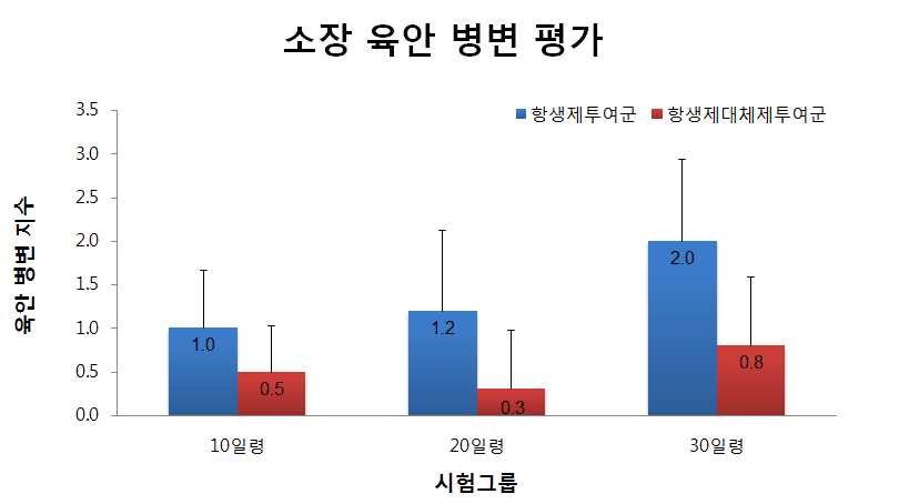 시험그룹별 소장 육안 병변 지수 평가