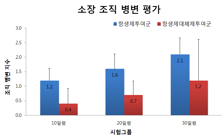 시험그룹별 소장 조직 병변 지수 평가