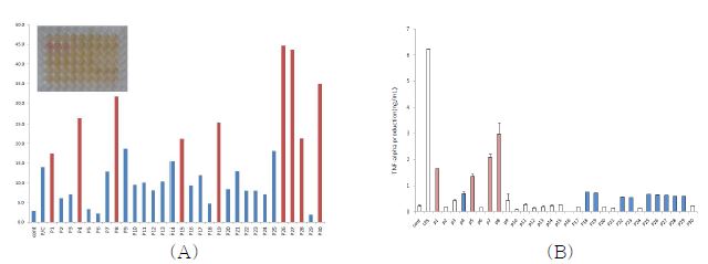 식물추출물의 NO 생성능(A) 및 TNF-α 생성능(B)