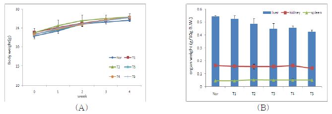 시험군별 체중변화 및 장기중량