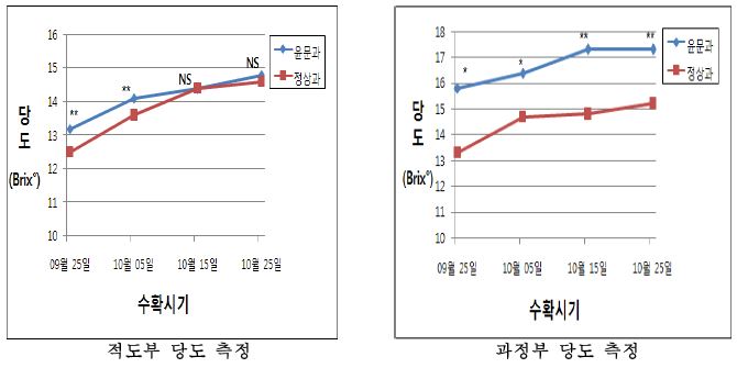 수확 시기별 ‘태추’ 윤문(輪紋) 발생 정도에 따른 과실특성(조사지역 : 창원 동읍)