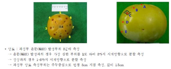 ‘태추’ 윤문과 당도 측정 방법