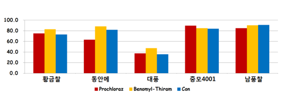 수수 품종에 따른 종자소독제별 발아율