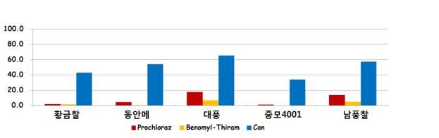 수수 품종에 따른 종자소독제별 이병률