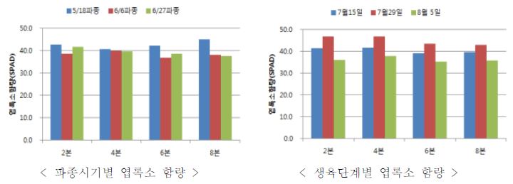 파종시기 및 파종본수별 조 엽록소 함량 및 도복지수