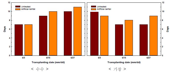 강우처리별 수수, 기장의 개화소요일수 차이