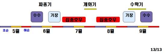 수수, 기장의 기상재해 회피 및 불임발생 저감 파종시기 설정