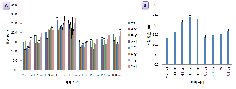 피복량별 국산밀 8품종의 초장; A는 품종별 피복처리에 따른 비교이며, B는 각각의 피복처리에 해당하는 8개 품종의 평균값으로 비교한 그래프 (H : 헤어리베치, R : 호밀)