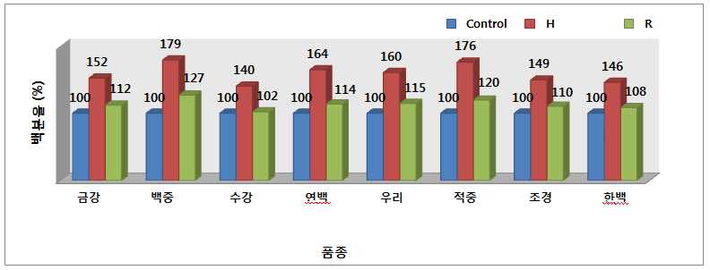 피복량별 국산밀 8품종의 초장 백분율로 각각의 품종의 무처리의 값을 100으로 환산하고 그 값에 각각의 피복처리값을 대입하여 나타낸 그래프이다 (H : 헤어리베치, R : 호밀)