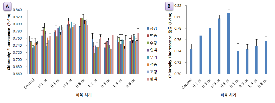 피복량별 국산밀 8품종의 광합성 능력; A는 품종별 피복처리에 따른 비교이며, B 는 각각의 피복처리에 해당하는 8개 품종의 평균값으로 비교한 그래프 (H : 헤어리베치, R : 호밀)