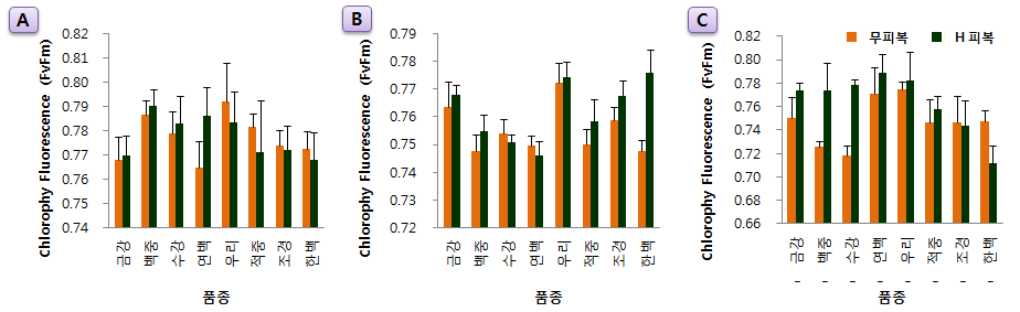 국산밀 8품종의 광합성 능력 ; 엽록소 형광 조사 결과 (A : 2013년 3월 7일, B : 4월 4일, C : 5월 6일)
