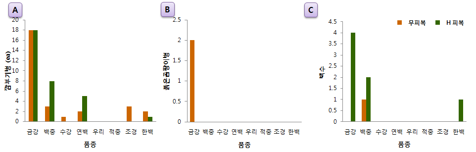 국산밀 8품종의 병 발생 결과 (A : 깜부기병, B : 붉은곰팡이병, C : 백수)