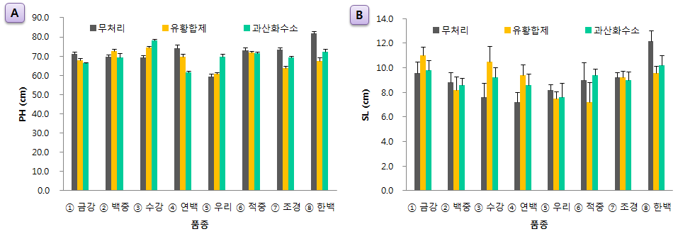 국산밀 8품종의 생육 조사 결과 (A : 초장, B : 수장)