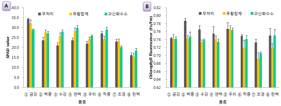 국산밀 8품종의 광합성능력 조사 결과 (A : 엽록소 함량, B : 엽록소 형광)