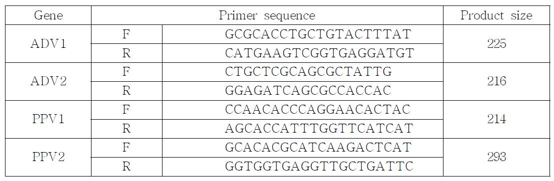 Primer sequences and product sizes of ADV and PPV.