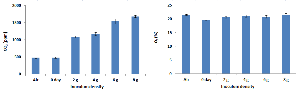 원괴체 접종밀도별 생물반응기 내부 CO2 및 O2 농도(배양 6주)