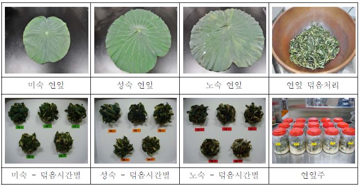 숙도별 연잎약주 제조