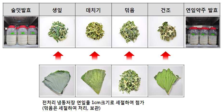 전처리 방법별 냉동저장 연잎의 약주제조 시험처리 과정