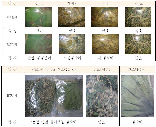 연잎 전처리 방법별 저온(4℃) 저장시 외관적인 품질변화