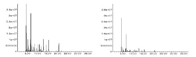 로즈마리 에센셜오일의 GC 크로마토그램 왼쪽: 노지재배, 오른쪽: 비가림하우스재배