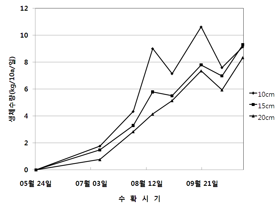 재식거리와 수확시기별 일당 생산량(1년차, 2012년)