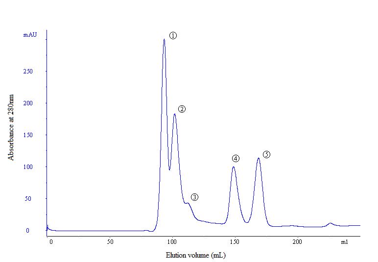 Gel filtration chromatography of precipitate of whey protein treated with 50% Ammonium Sulfate used Sephacryl S-100 column