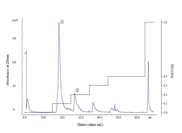 Anion exchange chromatography of peak 2 from gel filtration chromatography of precipitate used Mono-Q column.